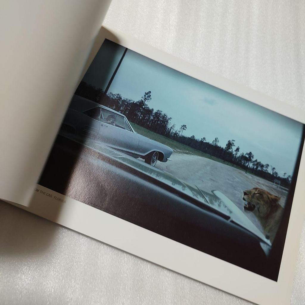 [USED] JOEL MEYEROWITZ "OUT OF THE ORDINARY