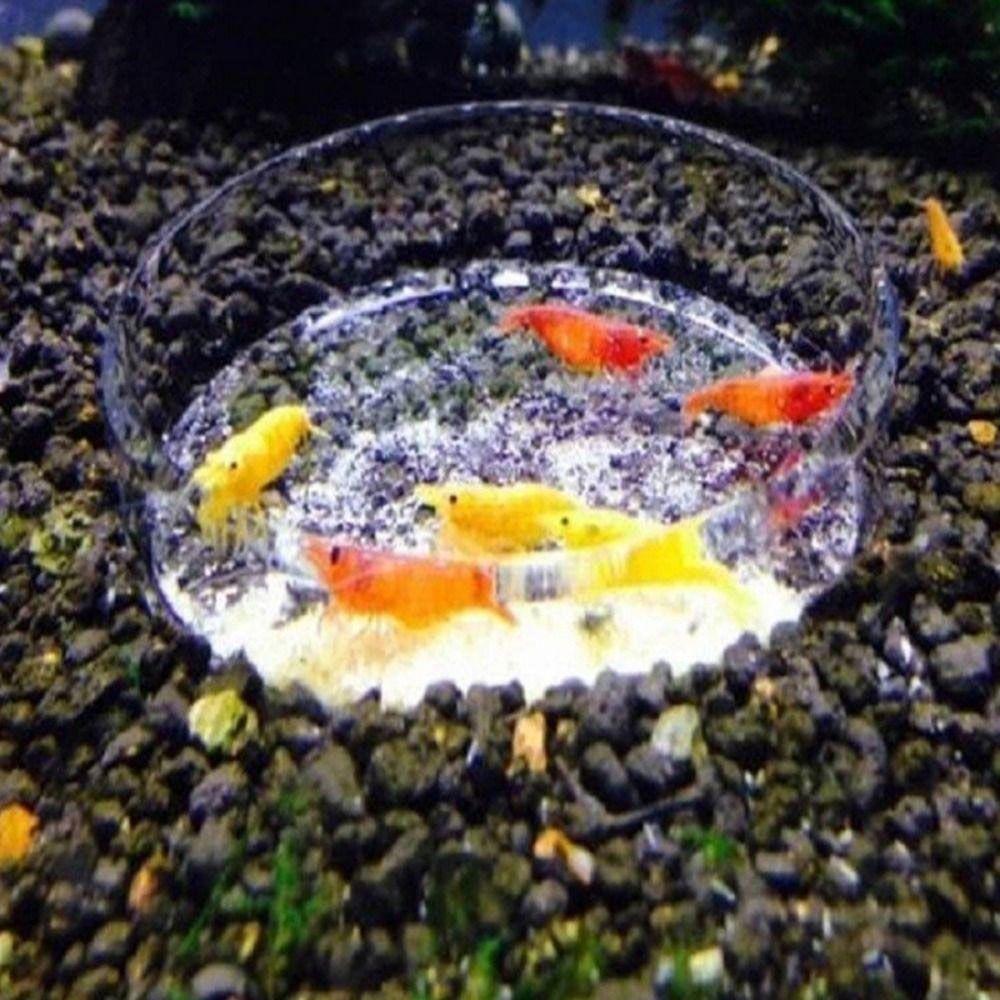 Acrylic Aerial Feeding Bowl Fish Shrimp Feeding Dish for Fish and Shrimp Aquariums
