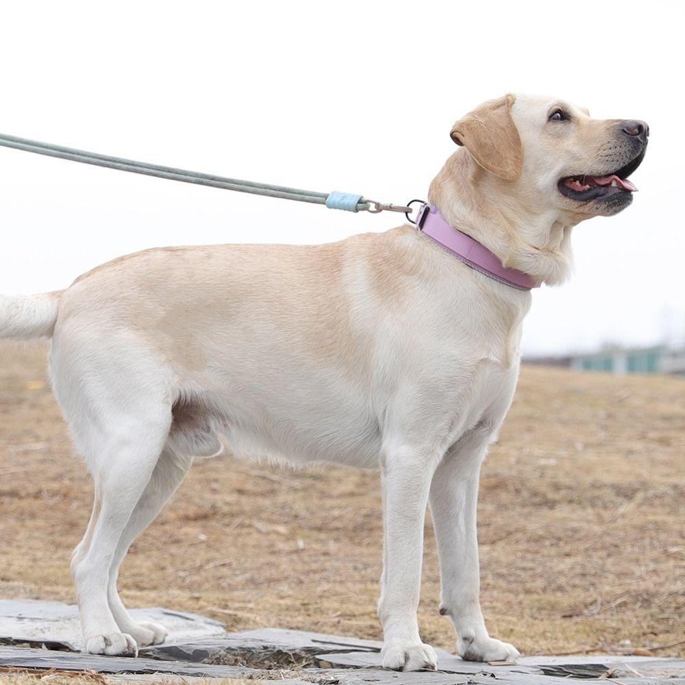 Adjustable Pet Dog Collar Polyester Fiber Pet Reflective Collar Dog Training Collar  Outdoor