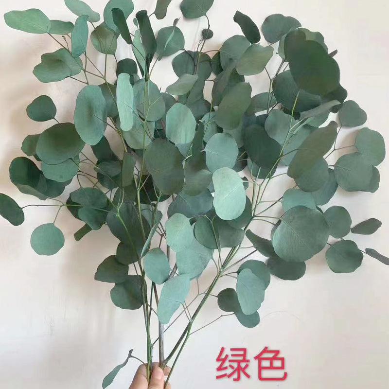 

Вечный яблочный лист Новогодний цветок 120 г Цветочные аксессуары Свадебная композиция Главная Цветочная композиция Вечный яблочный лист зелёный