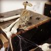 Snake Halloween Animal Skeleton Cat Skeleton Model Halloween Bats Skeleton  Garden Yard