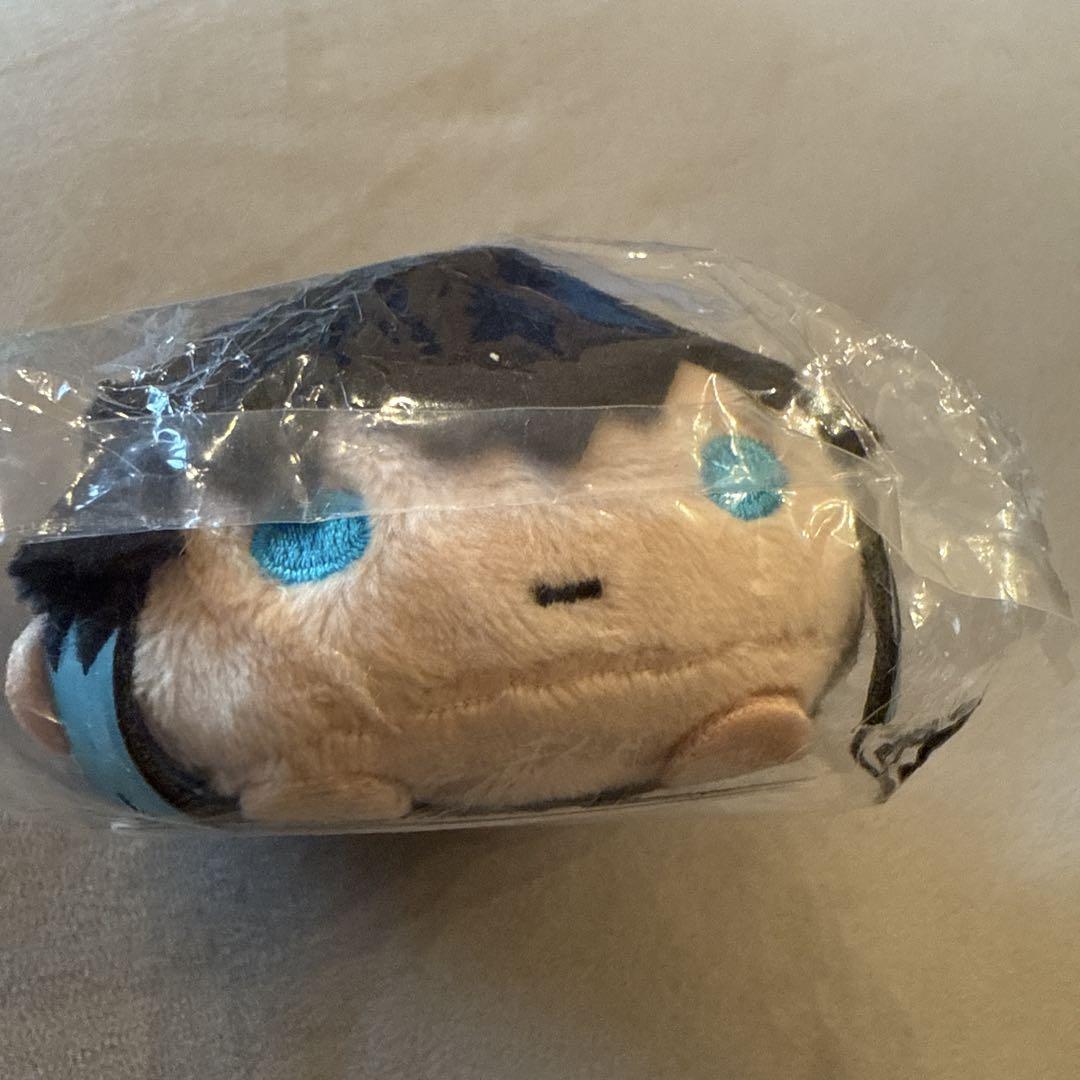 

[USED] Demon Slayer: Kimetsu no Yaiba Tokito Muichiro Noru Character Mascot