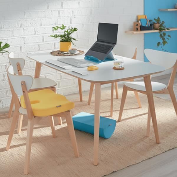 Coussin d'assise ergonomique - Gris - Leitz Ergo