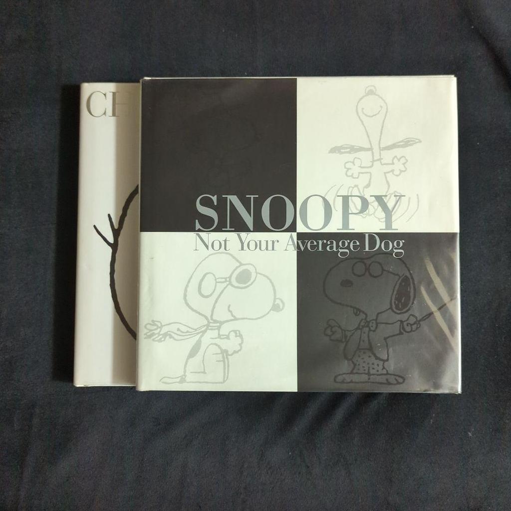 [USED] Two extremely rare books: English Snoopy Charlie Brown, used books, interior design