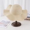 Summer Big-Brimmed Straw Hat Women'S Sunscreen Sunshade Seaside Outing Wavy Edge Fashion Versatile Wide-Brimmed Sun Hat