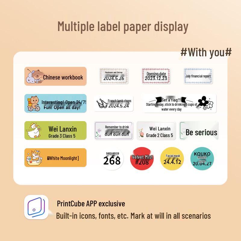 DeTong PrintCube P0 Portable Bluetooth Label Printer