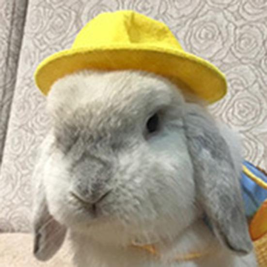 Yousheng Bunny Hat Keep Warm Holiday Dress Up Winter Pet Costume Hamster Hat Pet Supplies