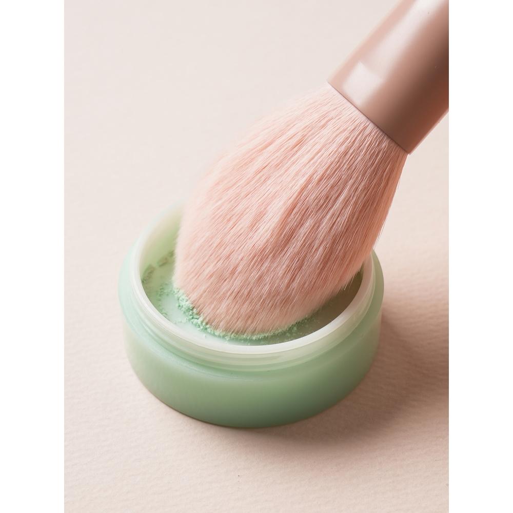 Daiso Matte Handle Powder Brush