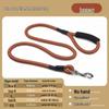 Pet Dog Leash for Small Breeds - Bichon, Teddy, Medium & Large Sizes