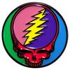 Grateful Dead Steal Your Face Pin
