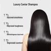 Fanyongchen Caviar Amino Acid Shampoo