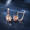 Rose Gold Color Round Cut Pink Red Blue Rainbow Birthstone Drop Dangle Earrings Eight Claw Stud Hook Earrings Jewelry