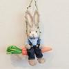 Handwoven Straw Bunny on Swing Easter Spring Home Decor Christmas Ornament Unique Gift Nursery Shelf Decor Farmhouse Crafts