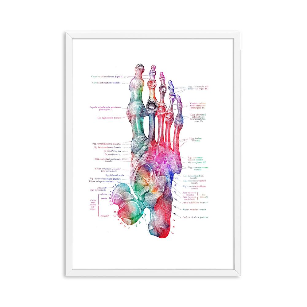 Foot Bones Anatomy Poster Podiatry Art Medical Print Canvas Painting Posters And Prints Wall Pictures For Gift Doctor Office Dec