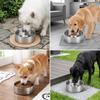 Köpek – Köpek Besleme ve Sulama Malzemeleri