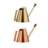 Watering Can Indoor Plant Indoor Watering Can For Plant 30.4Oz/900ml Stainless Steel Watering Can Long Spout Plant Bottl