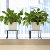 Lewondr Flower Stand, Iron Planter Rack with Cat Legs, for Houseplants, Gardening, and Plant Pots, 100lb Weight Capacity, Rattan Style, Suitable for I