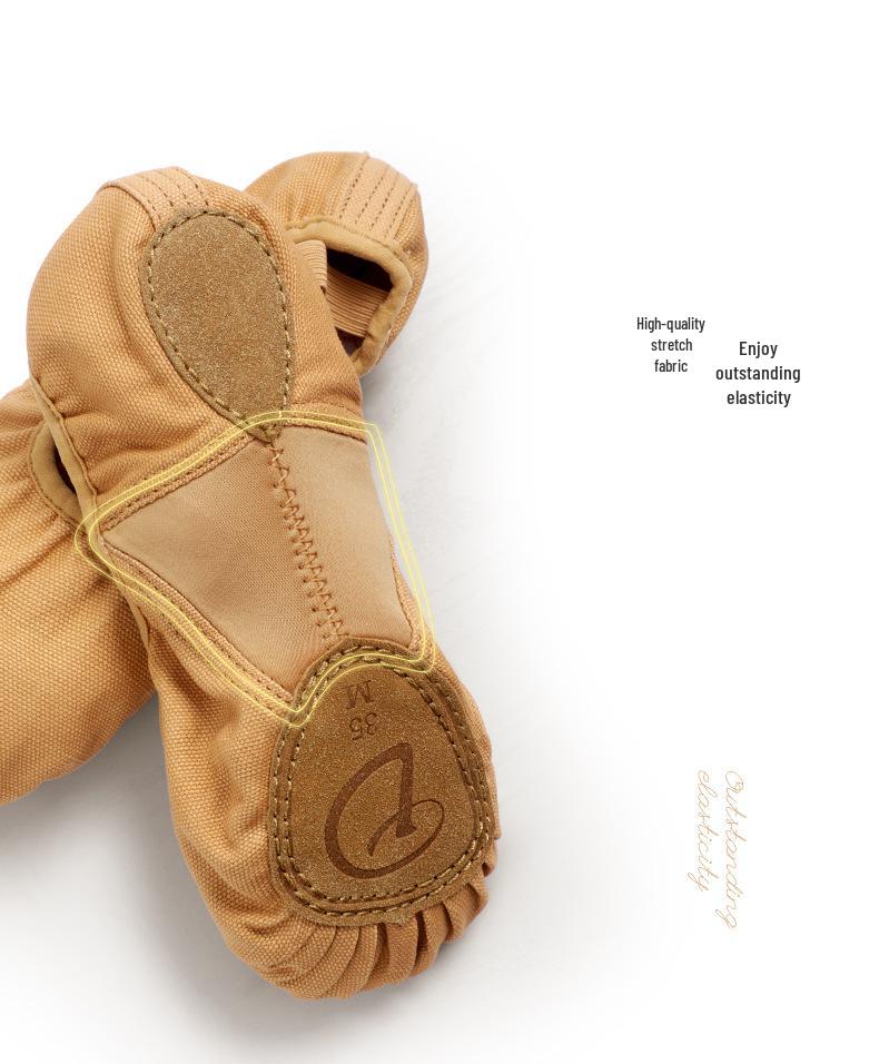 Girls' Soft Sole Stretchy Ballet Practice Shoes In Flesh Color