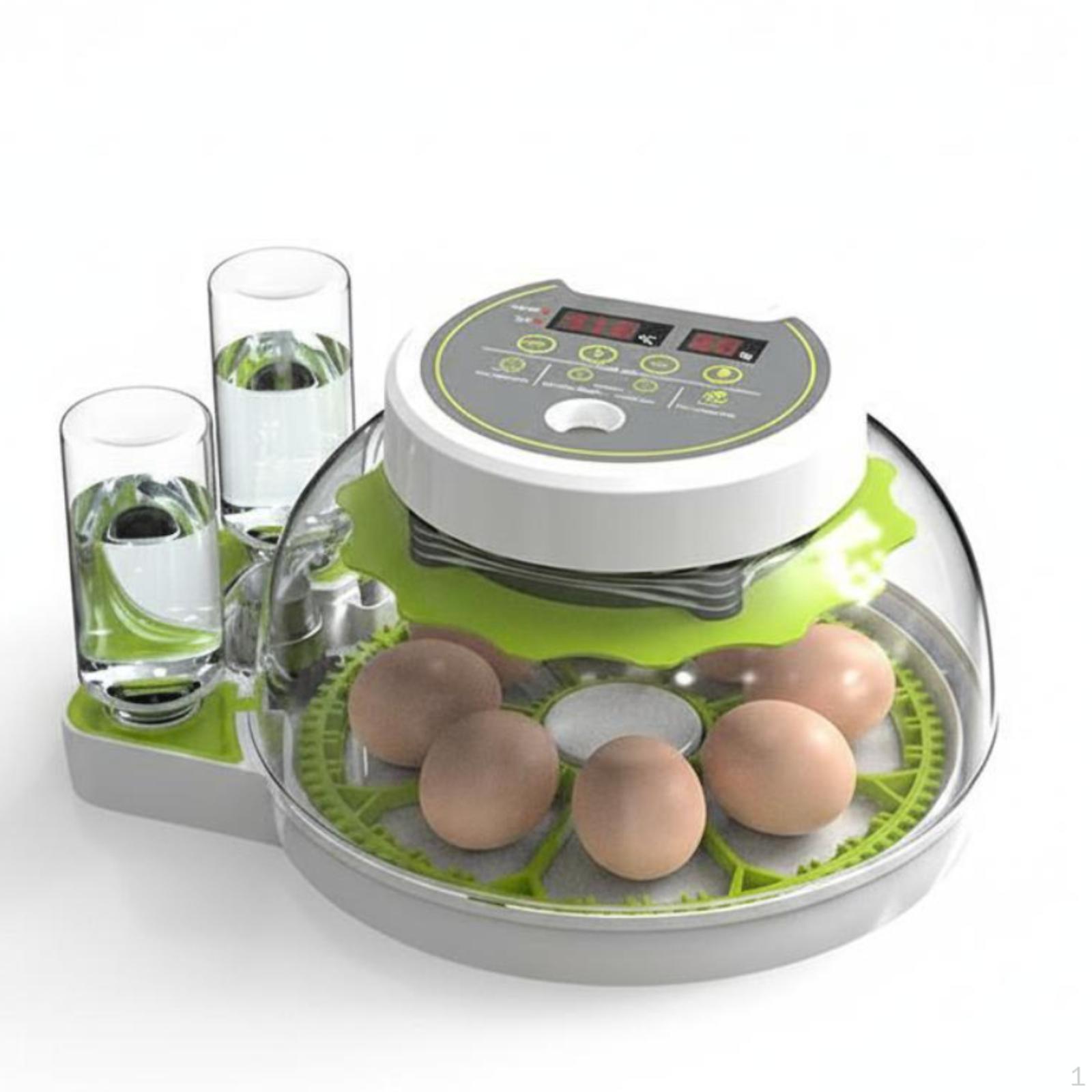 Ovum Incubator, Automatic Temperature & Humidity