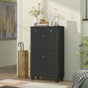 Narrow Shoe Cabinet, Drop-Down Drawers, Adjustable Shelf, 60x23.5x98.5cm, Black