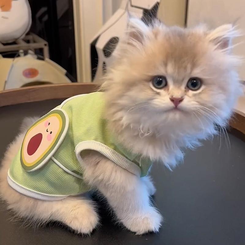 Cat Clothes Cute Summer Avocado Outfit Dress Up For Persian Cat Siamese Kitten Platinum Gradual Layer Cat Change Accessories