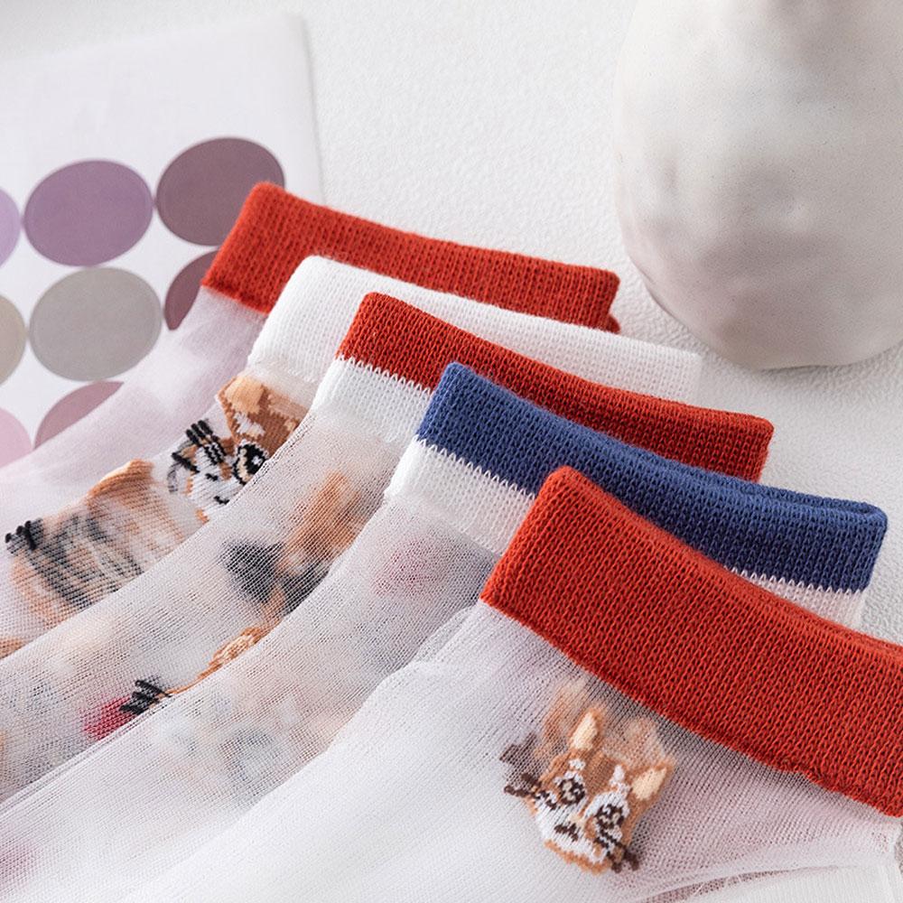5 Pairs Cute Cat Socks For Women Sexy Lace Socks Y2k Harajuku Lolita Short Socks Set Preppy Transparent Socks For Girls