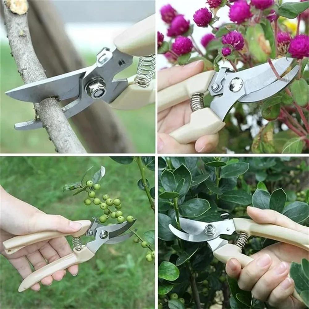 Stainless Steel Scissors Flower Cutting Flower Arrangement Pruning Fruit Tree Garden Branch Cutting Household Grafting 1/2pcs