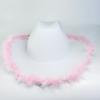 Furry Trim Jazz Hat Wide Brim Cowgirl Hat Fashion Western Cowboy Hat  Stage Performance