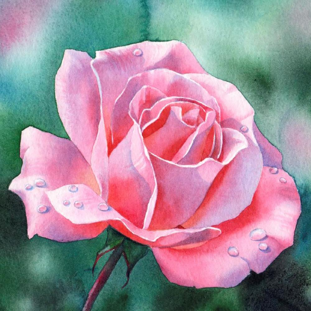 5D DIY Diamond painting Romantic flowers full diamond square/round diamond embroidery cross-stitch set home wall decorative art