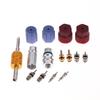 Kit de 17 Piezas de Vástagos de Válvula Schrader de Refrigeración R12 R134A para Coche, Tapas de Sellado para Puerto de Servicio y Carga, Núcleos de Válvula de Aire Acondicionado