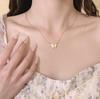 Elegant Shell Butterfly Necklace for Women - Light Luxury Titanium Steel Clavicle Chain Jewelry