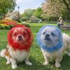 Breathable Pet Protective Mask Comfort Polyester Anti-Bite Head Cover Adjustable Anti-Mosquito Headgear for Small Dogs Cat