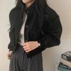 Autumn Korean Chic Stand-up Collar Single-breasted Loose Casual Fashion Versatile Long-sleeved Short Woolen Coat Women