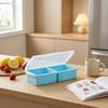 Abgedeckte Silikon-Eiswürfelform für Gefrier-Aufbewahrungsbox Eisblockform