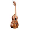 KALA Ukulele Solid Acacia Series Acacia Body Concert Successor All-Solid KASA-C-WCASE20_06 [KA-SA-C Model] (Case Included)
