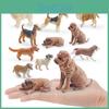 Pvc Synthetic Shar Pei Dog Figurine For Kids Learning And Play