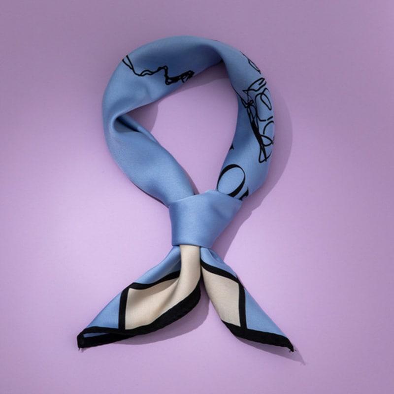 RECLOW RECLOW LAND Signature Drawing LOGO Scarf Blue