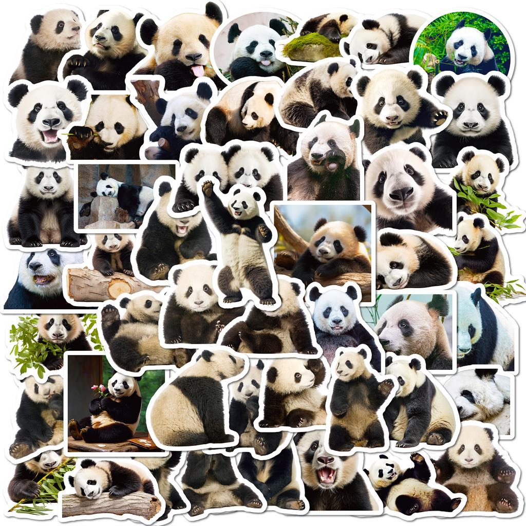 50 Panda Realistic Stickers Cute Giant Panda Flower Emoji Stickers Computer Mobile Phone Water Cup Stickers