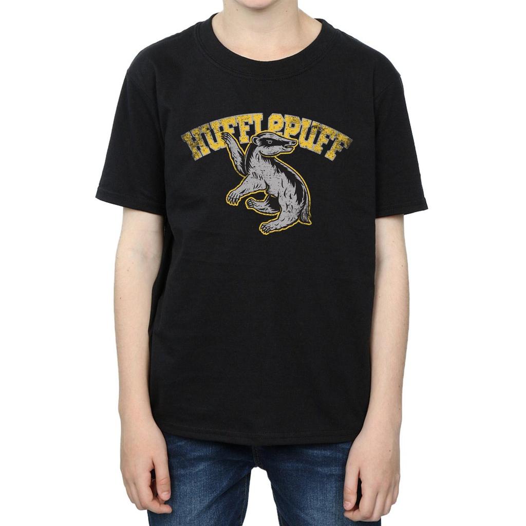 Harry Potter Boys Hufflepuff Cotton T-Shirt