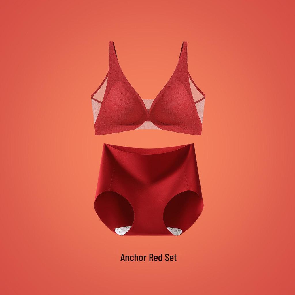 Women's Red Tiger Year Bridal Lingerie Set: Seamless Mesh Push-Up Bra & Panty Gift Box