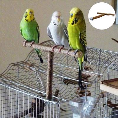 Ahşap Stand Mini Aşınmaya Dayanıklı Hafif Papağanlar için Ahşap Stand
