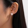 Silver Needle Zircon Geometric Stud Earrings - High-End Light Luxury Fashion for Women