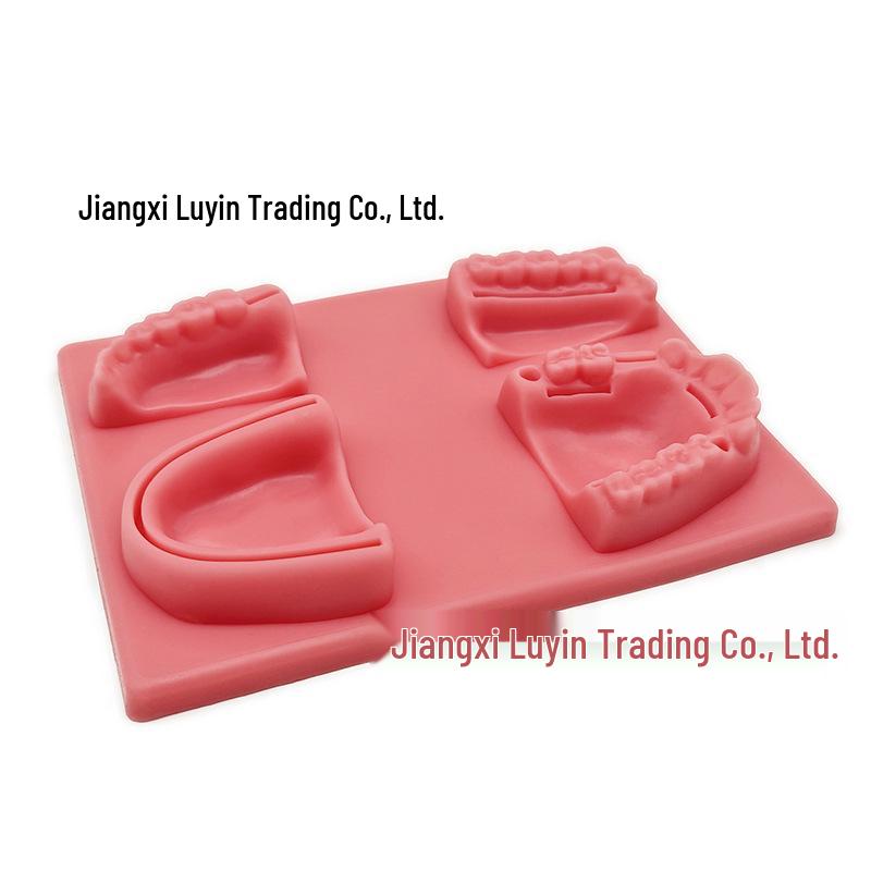 Oral Suture Practice Model for Knot Tying and Tooth Simulation 25051901