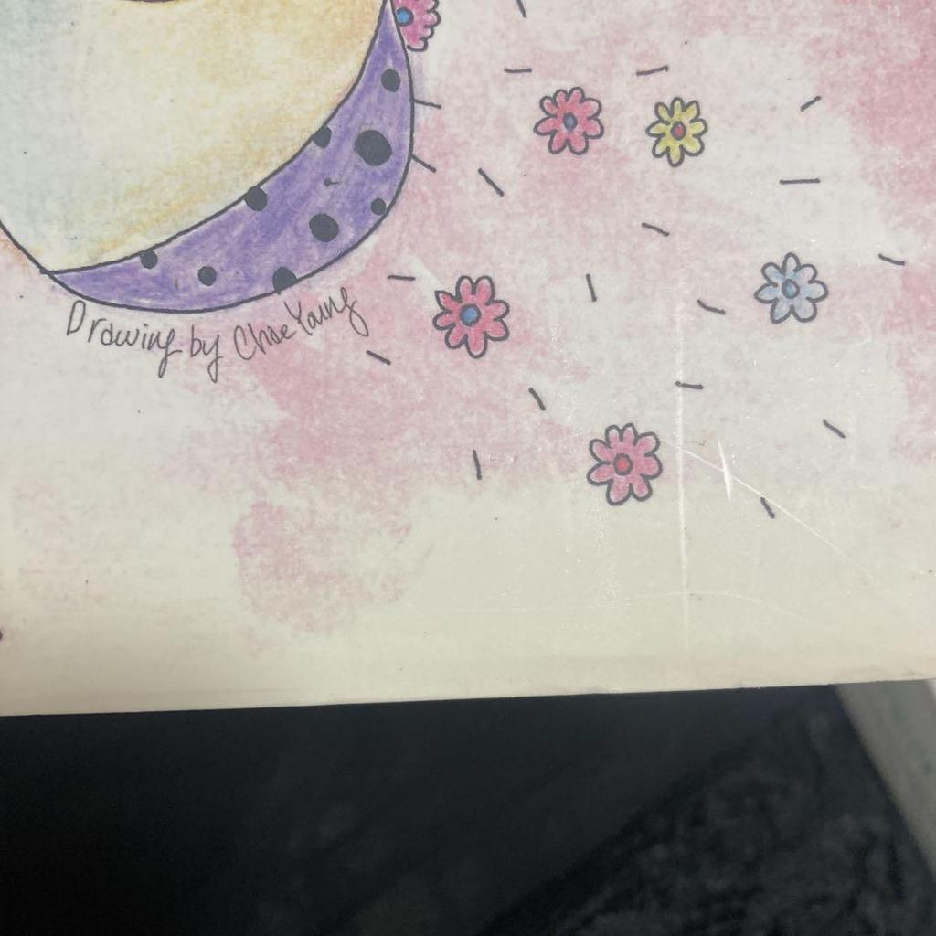 [USED] Limited Edition TWICE PAGE TWO CD Album Chaeyoung Sleeve