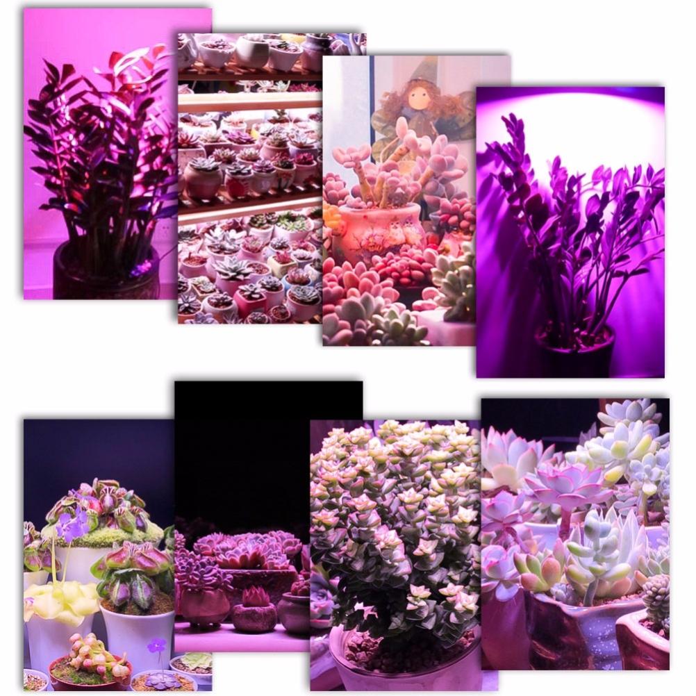 LED Plant Grow Light Bulb E27 Base Grow Light Bulbs Indoor 28W Plants Growing Light Bulb Lamp for