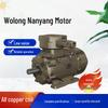 Wolong Nanyang IE4 Three-Phase Asynchronous Motor with Full Copper Winding, Low-Voltage High-Efficiency.