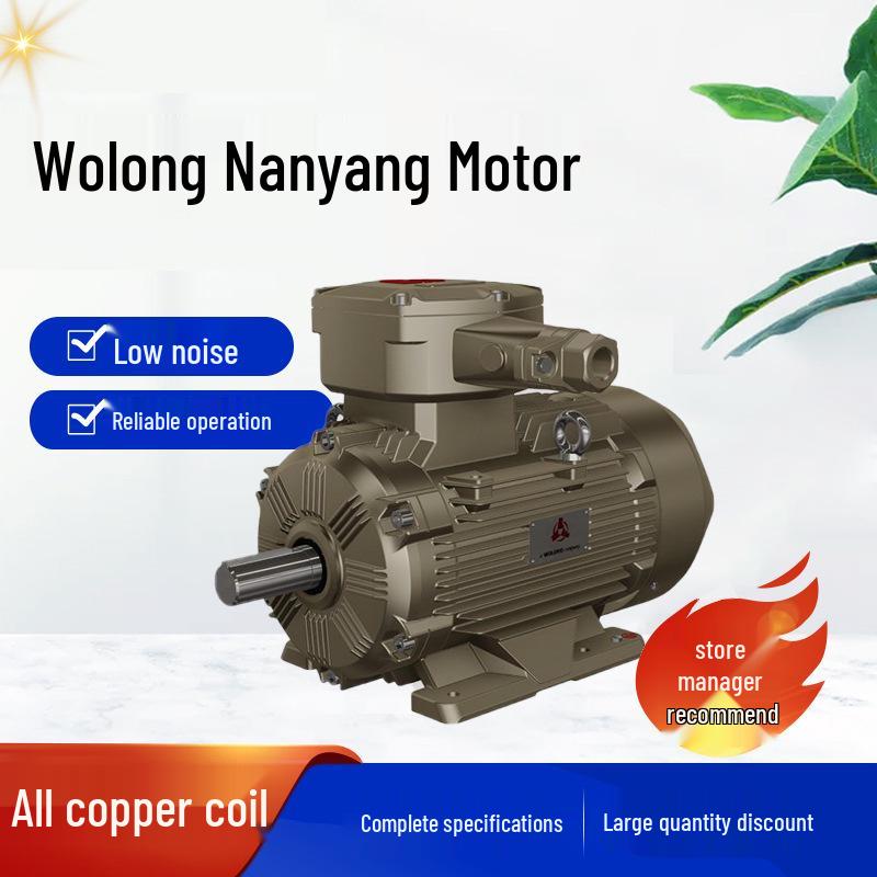 Wolong Nanyang IE4 Three-Phase Asynchronous Motor with Full Copper Winding, Low-Voltage High-Efficiency.
