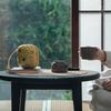 Wanqiantang Portable Ceramic Travel Tea Set - Phoenix Series