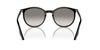 Sunglasses RB2204F BLACK 54 [Ray-Ban]