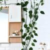 10-30pcs Plant Climbing Wall Fixture Clips Invisible Plant Clips Self-Adhesive Hook Vine Traction Plant Clips Home Garden Decor